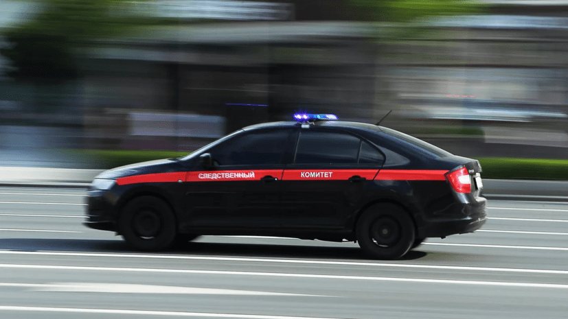 СК проведёт проверку после падения акробата с высоты в цирке в Приморском крае