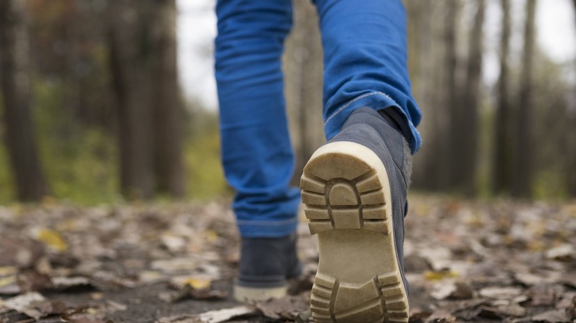 Россиянам посоветовали надевать в лес высокие сапоги из-за проснувшихся змей