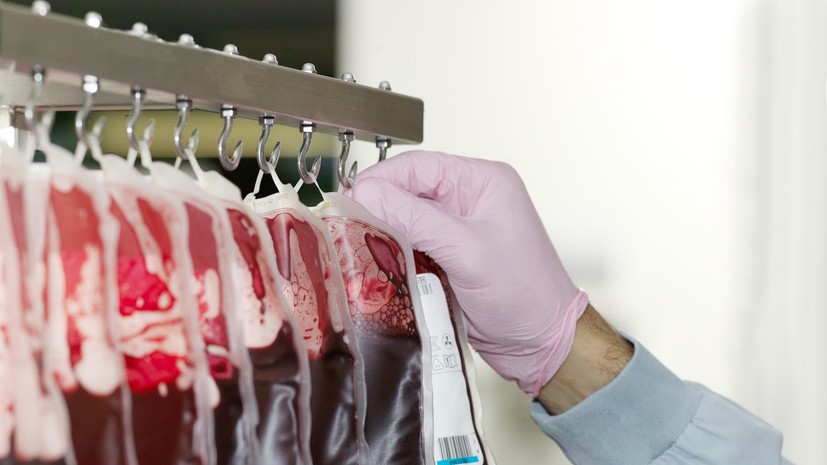 Россиянам рассказали о противопоказаниях к донорству крови