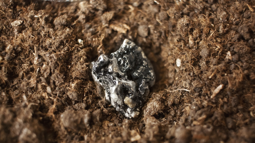 «Не укладываются в общую гидрогенную теорию»: геолог — о залежах редкозёмов на дне Тихого океана