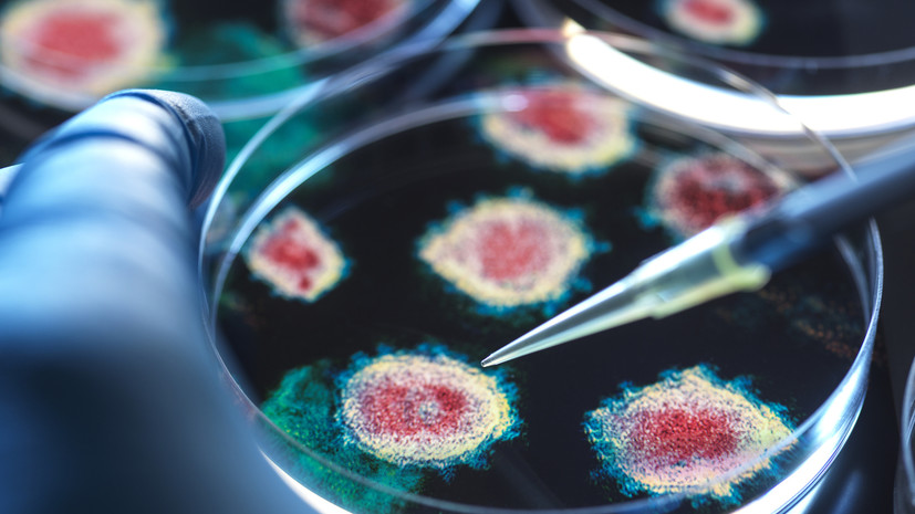 В России не выявили вариант коронавируса «цикада»