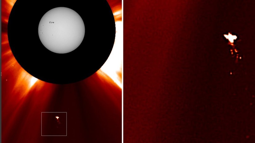 «Редкий шум или реальный физический объект?»: что известно о загадочной «птице» рядом с Солнцем