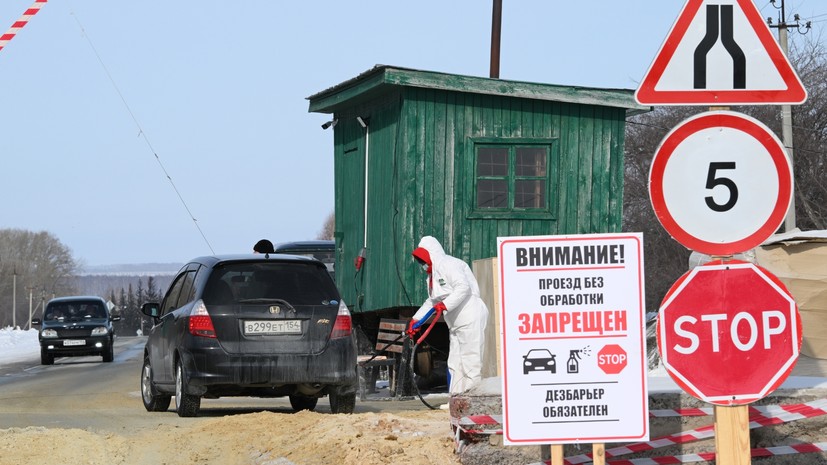 Власти выделили до 200 млн рублей на компенсаций фермерам Новосибирска