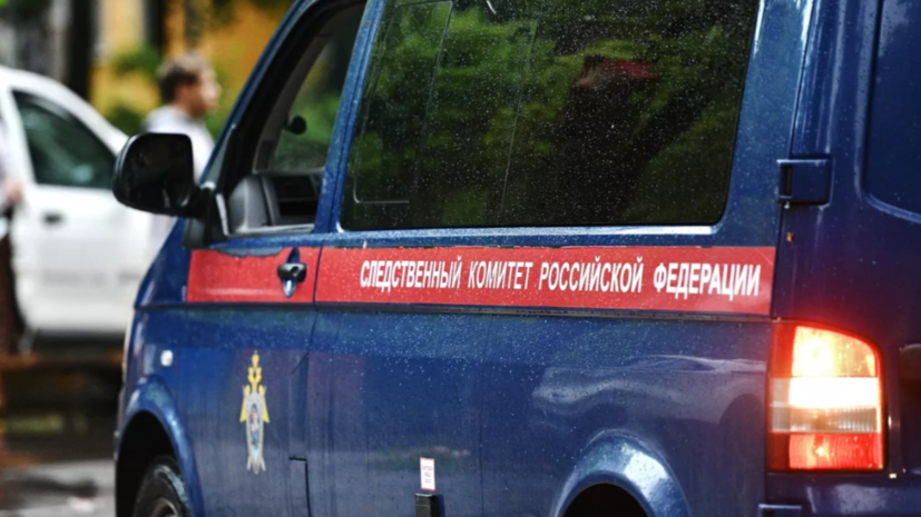 СК завёл дело после сообщений о девочке-маугли из многодетной семьи в Башкирии