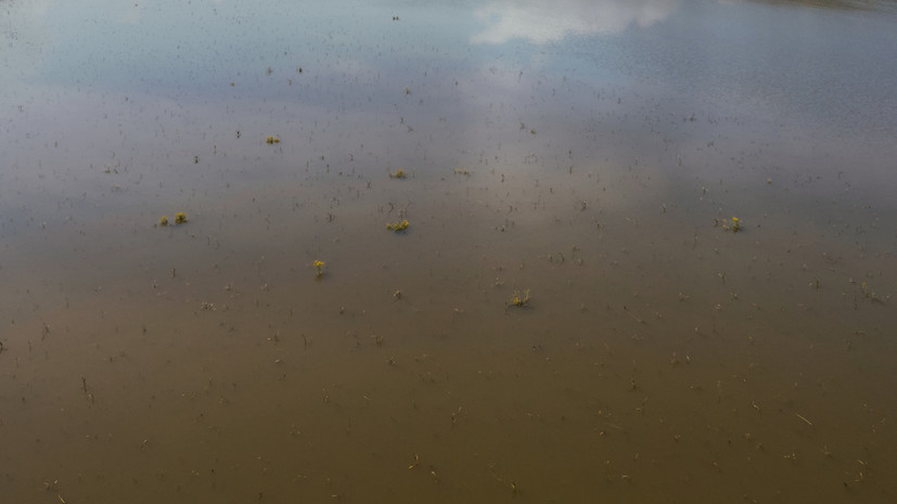 В Молдавии введён режим экологической тревоги из-за загрязнения Днестра