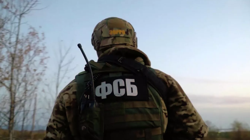 В ДНР задержан готовивший по заданию Киева теракт против чиновника администрации