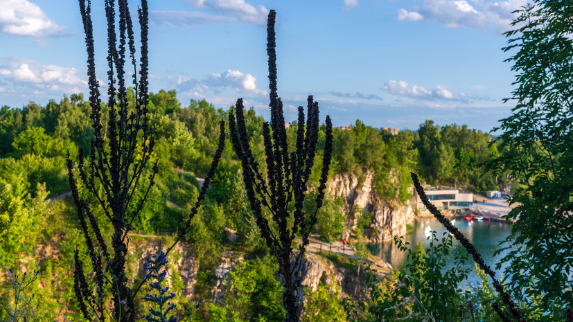 В Совфеде объяснили, кто может получить бесплатную путёвку в санаторий