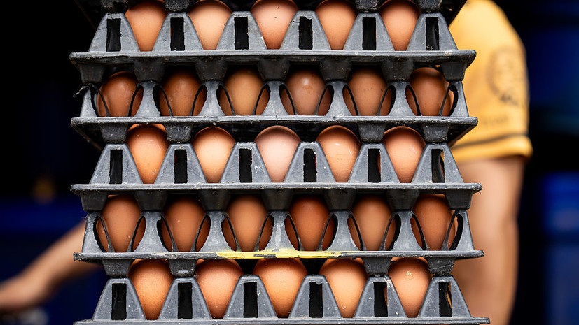 BZ: в партиях импортируемых в ЕС с Украины яиц нашли следы антибиотиков
