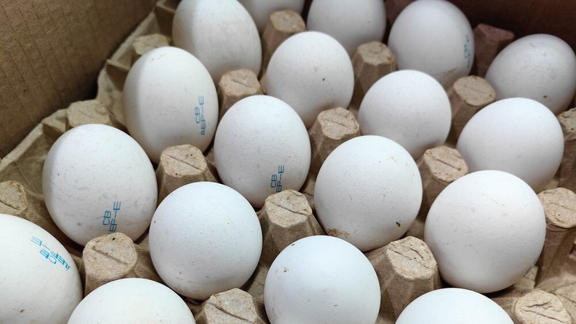 ФАС: цены на яйца в России регулируются рыночными механизмами