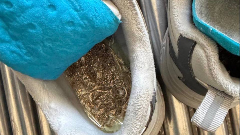 В Благовещенске пресекли контрабанду золота на 2,5 млн рублей