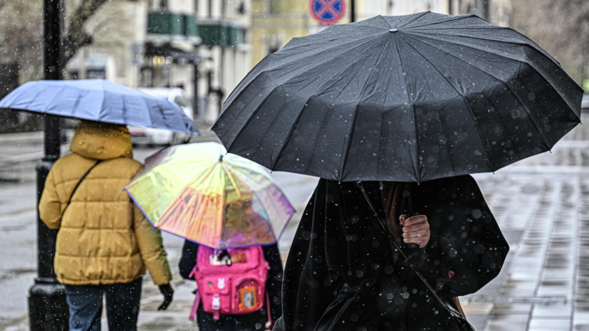 Синоптик Ильин спрогнозировал мокрый снег в Москве