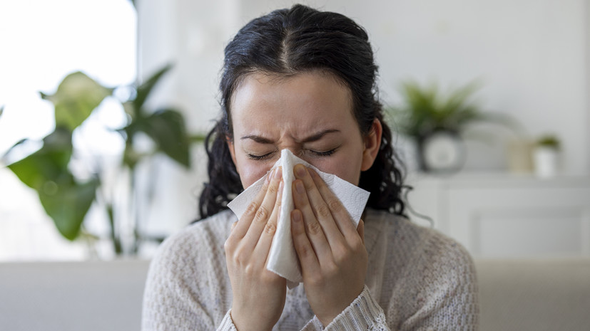Россиян предупредили, когда сезонная аллергия может перейти в астму