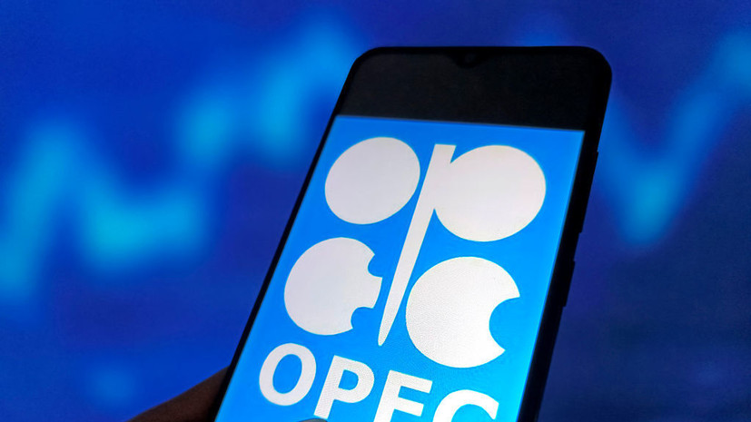 ОАЭ поблагодарили партнёров по ОПЕК за многолетнее сотрудничество