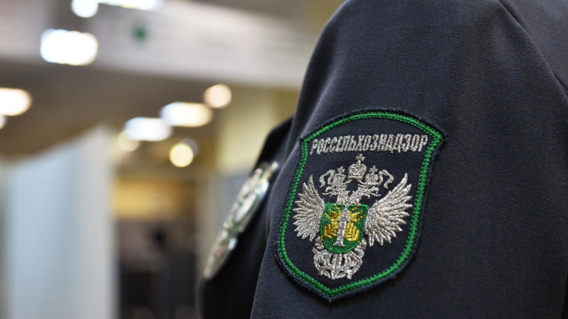 Россельхознадзор заявил о претензиях к поставкам продукции из Армении