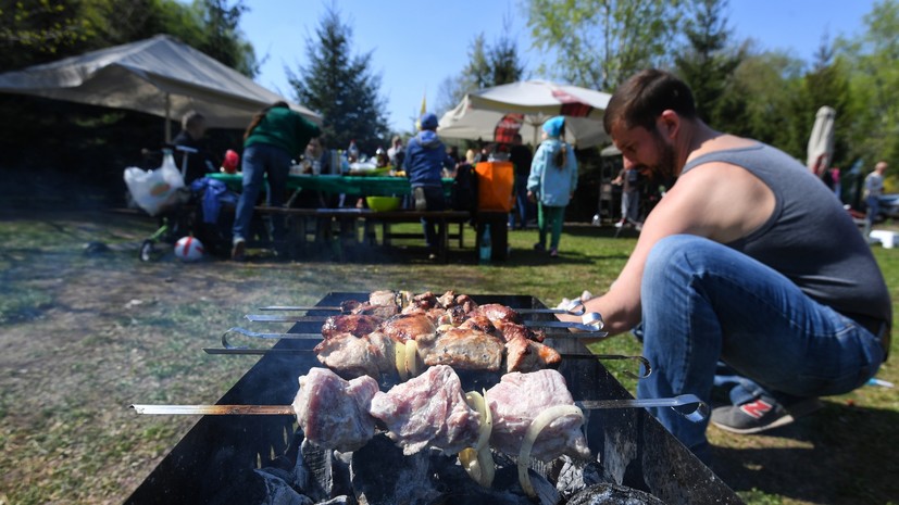 Как появилась маёвка: царские гулянья по велению Петра I, собрания революционеров и студенческие костры