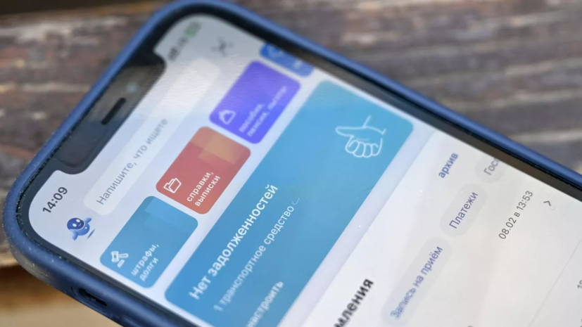 АТОР: у россиян за границей возникают сложности с доступом к «Госуслугам»