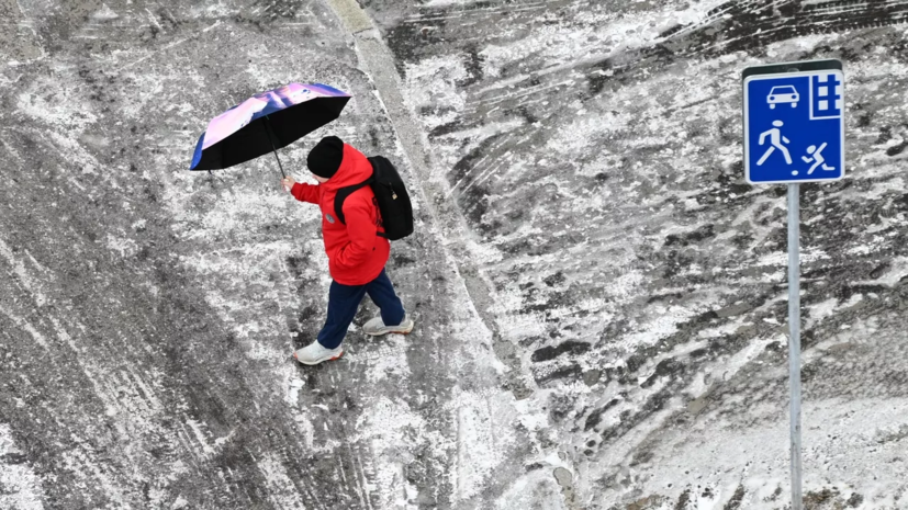 Синоптик допустил появление снежного покрова до 5 см в Москве 28 апреля