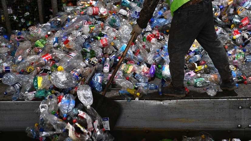 В Роскачестве предупредили, когда хранение мусора на участке считается нарушением