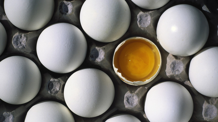 Гастроэнтеролог: при появлении на яйце небольшой трещины его надо съесть сразу