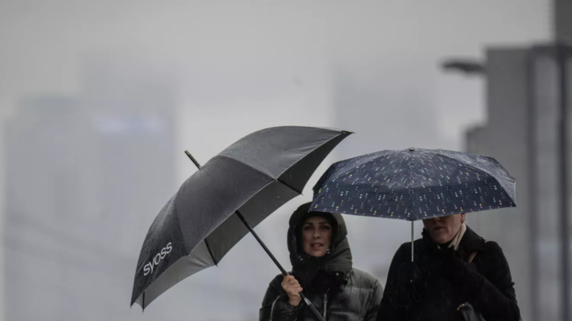 Синоптик Леус спрогнозировал короткие дожди в Москве