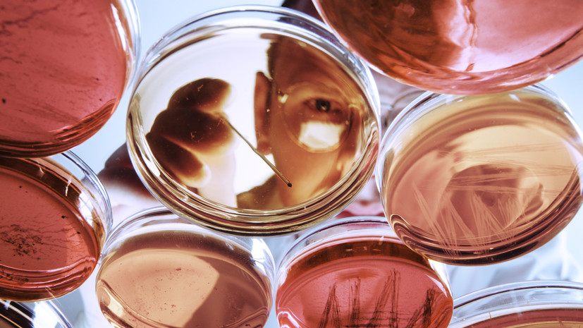 Nature Microbiology: в морепродуктах обнаружили вызывающий слепоту вирус