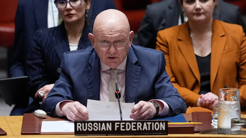 Небензя: ВС продолжат выполнять цели СВО до устранения всех угроз безопасности