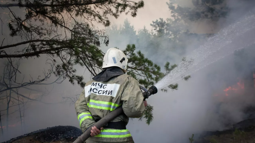 Площадь лесных пожаров в Туве снизилась почти в пять раз за сутки