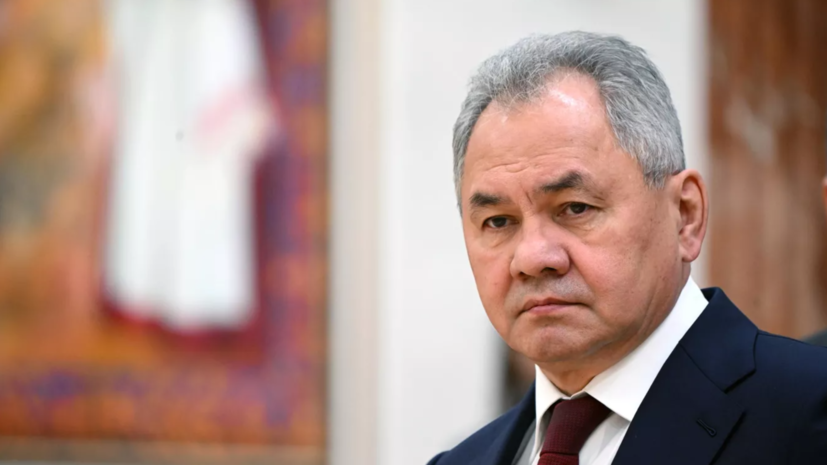 Шойгу: против России в конфликте на Украине фактически воюет 56 стран