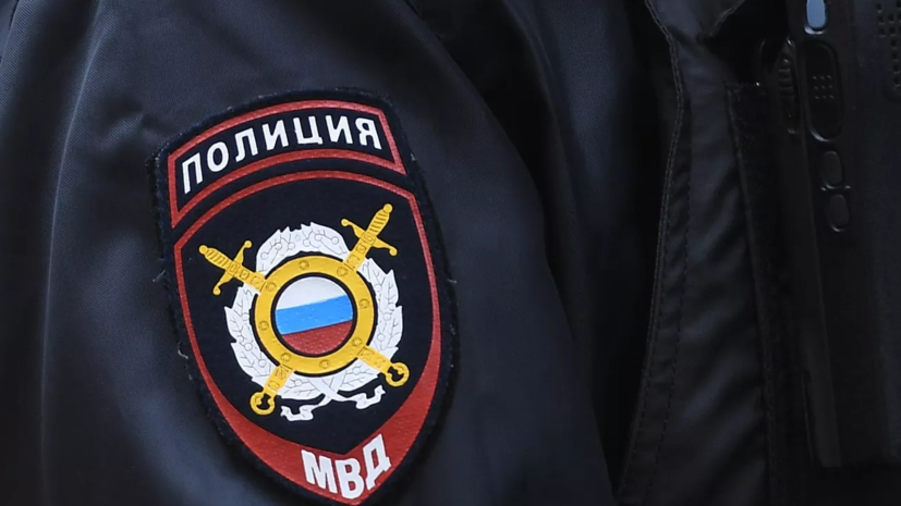 МВД: в Амурской области ищут пропавшую с пятью детьми женщину