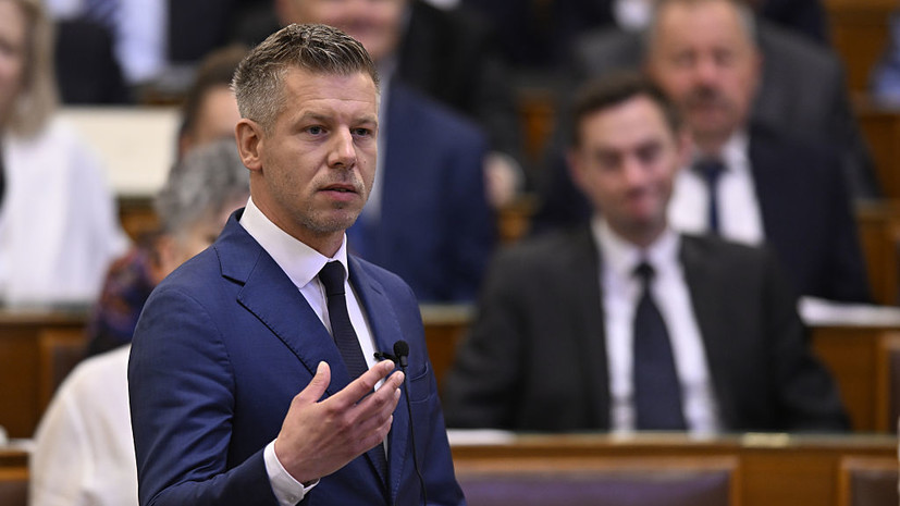 Мадьяр поручил расследовать дело о перевозке золота и валюты на Украину