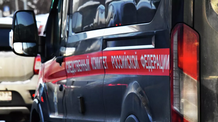 Пропавшую в Кемерово 12-летнюю девочку нашли с признаками насильственной смерти