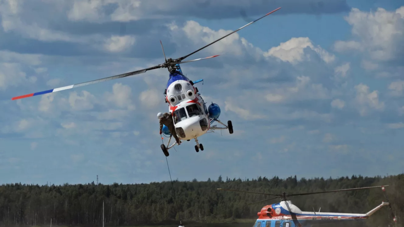 РИА Новости: вертолёт Ми-2 разбился при обработке полей на Кубани