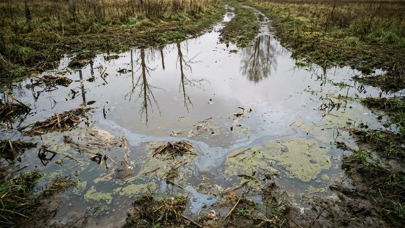 На Кубани ввели режим ЧС в четырёх сельских поселениях Крымского района