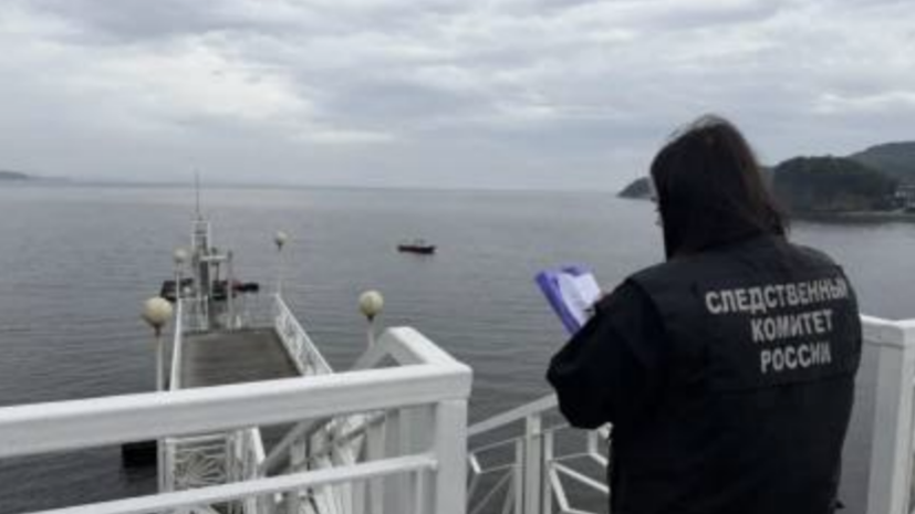 «Был звук, будто что-то ломается»: очевидица обрушения моста в Приморье раскрыла подробности происшествия