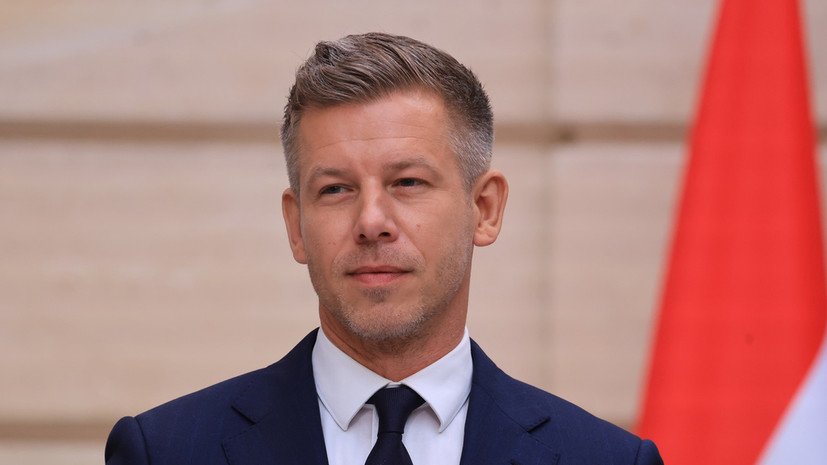 Мадьяр заявил, что нового президента Венгрии изберут в течение 30 дней