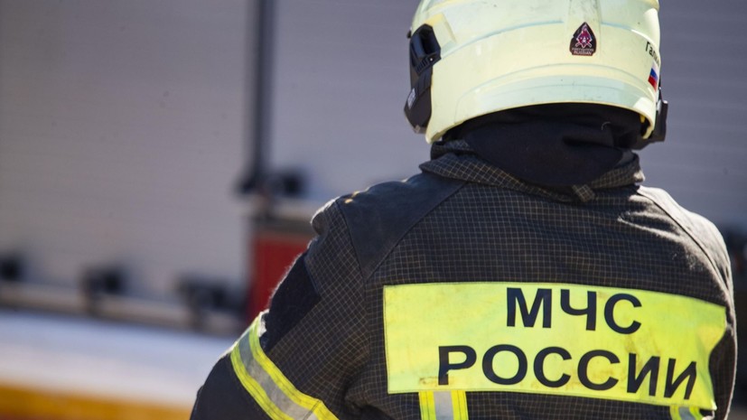 Лес загорелся после падения обломков БПЛА в Севастополе
