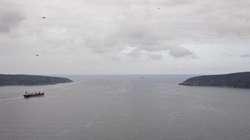 Грушко: от Турции не было предложений моратория на боевые действия в Чёрном море
